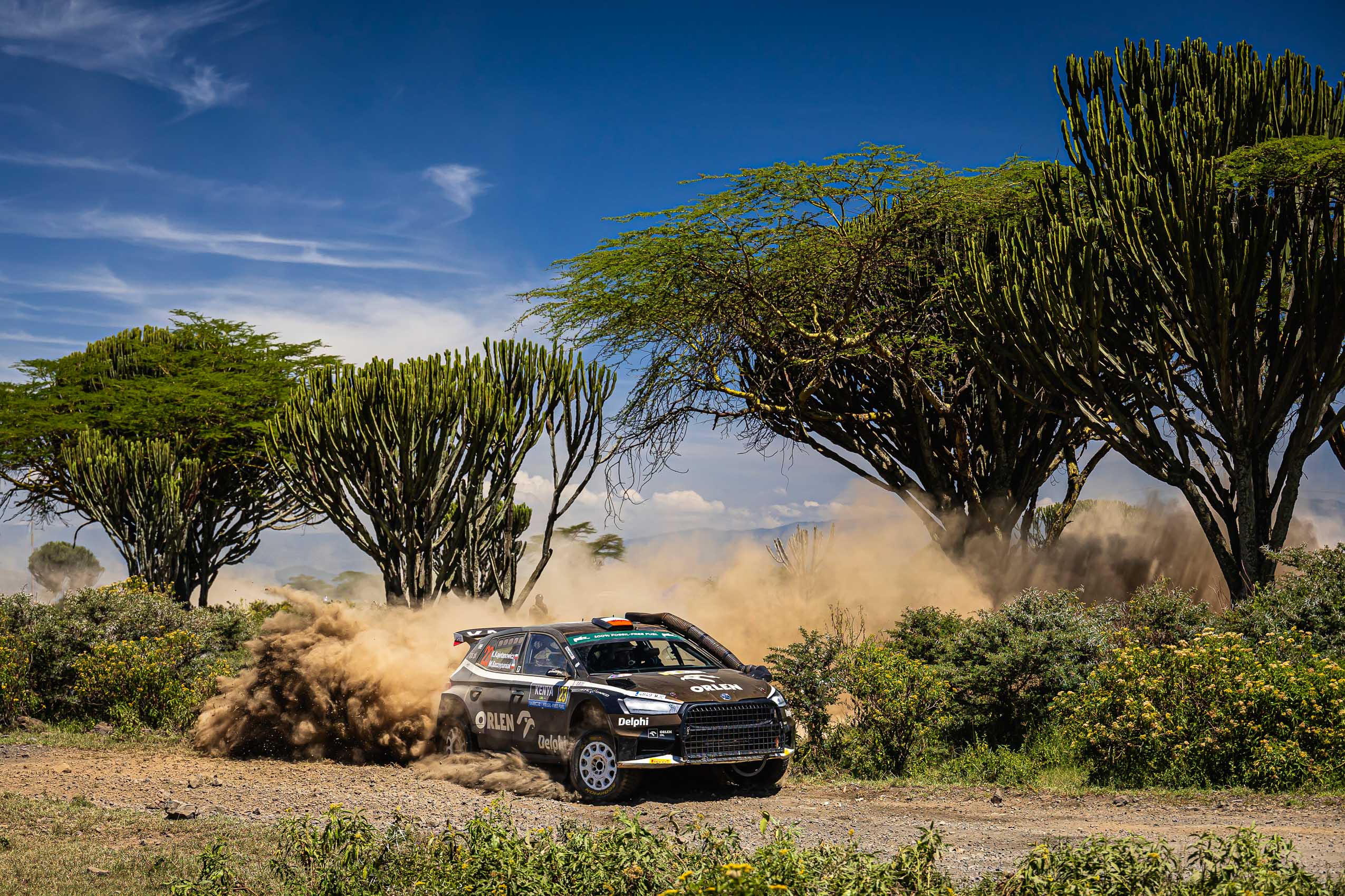2025 will be a busy year in rallying